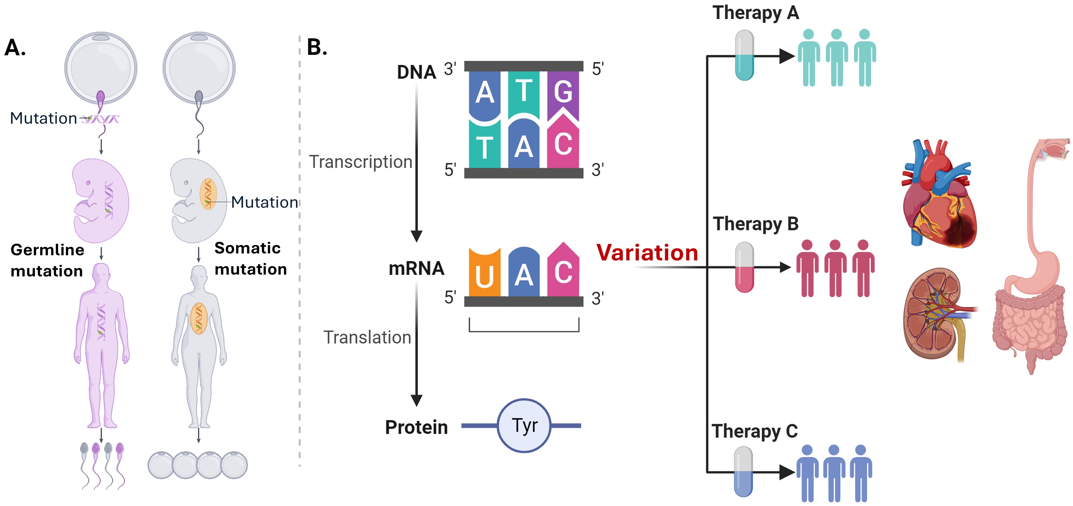 Multi-omics